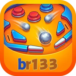 br133